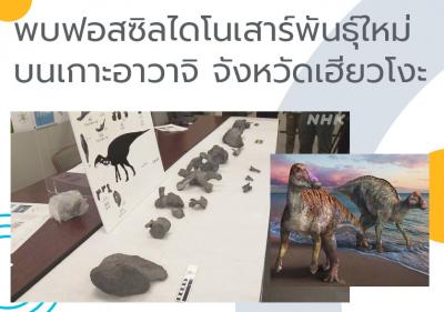 พบฟอสซิลไดโนเสาร์พันธุ์ใหม่บนเกาะอาวาจิ จังหวัดเฮียวโงะ