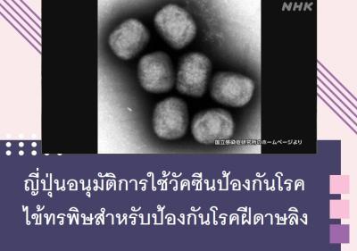 ญี่ปุ่นอนุมัติการใช้วัคซีนป้องกันโรคไข้ทรพิษสำหรับป้องกันโรคฝีดาษลิง