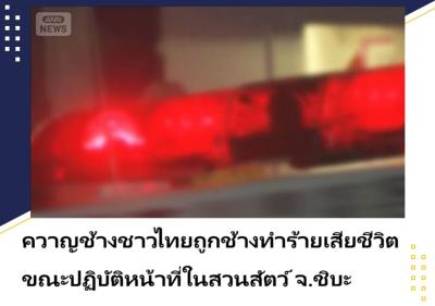 ควาญช้างชาวไทยถูกช้างทำร้ายเสียชีวิต ขณะปฏิบัติหน้าที่ในสวนสัตว์ จ.ชิบะ