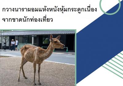 กวางนาราผอมแห้งหนังหุ้มกระดูกเนื่องจากขาดนักท่องเที่ยว