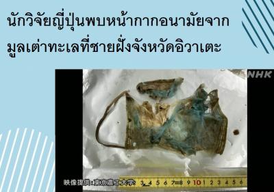 นักวิจัยญี่ปุ่นพบหน้ากากอนามัยจากมูลเต่าทะเลที่ชายฝั่งจังหวัดอิวาเตะ