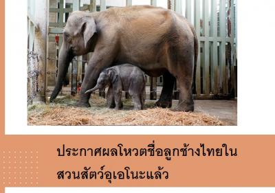 ประกาศผลโหวตชื่อลูกช้างไทยในสวนสัตว์อุเอโนะแล้ว