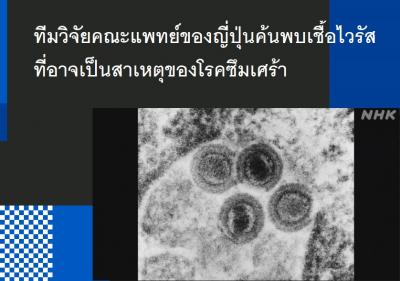 ทีมวิจัยคณะแพทย์ของญี่ปุ่นค้นพบเชื้อไวรัสที่อาจเป็นสาเหตุของโรคซึมเศร้า