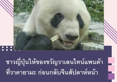 ชาวญี่ปุ่นให้ของขวัญวาเลนไทน์แพนด้าที่วาคายามะ ก่อนกลับจีนสัปดาห์หน้า