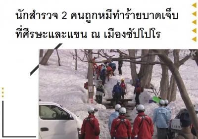 นักสำรวจ 2 คนถูกหมีทำร้ายบาดเจ็บที่ศีรษะและแขน ณ เมืองซัปโปโร