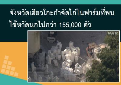 จังหวัดเฮียวโกะกำจัดไก่ในฟาร์มที่พบไข้หวัดนกไปกว่า 155,000 ตัว