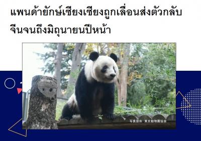 แพนด้ายักษ์เซียงเซียงถูกเลื่อนส่งตัวกลับจีนจนถึงมิถุนายนปีหน้า