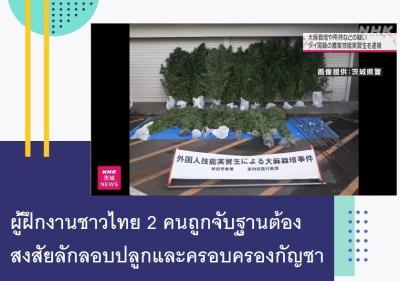 ผู้ฝึกงานชาวไทย 2 คนถูกจับฐานต้องสงสัยลักลอบปลูกและครอบครองกัญชา