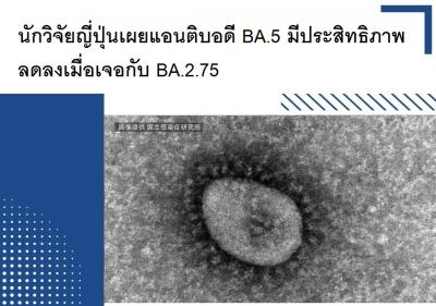นักวิจัยญี่ปุ่นเผยแอนติบอดี BA.5 มีประสิทธิภาพลดลงเมื่อเจอกับ BA.2.75