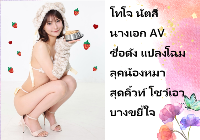 โทโจ นัตสึ นางเอก AV ชื่อดัง แปลงโฉมลุคน้องหมาสุดคิ้วท์ โชว์เอวบางขยี้ใจ