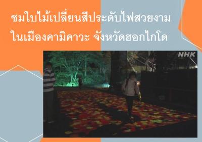 ชมใบไม้เปลี่ยนสีประดับไฟสวยงามในเมืองคามิคาวะ จังหวัดฮอกไกโด