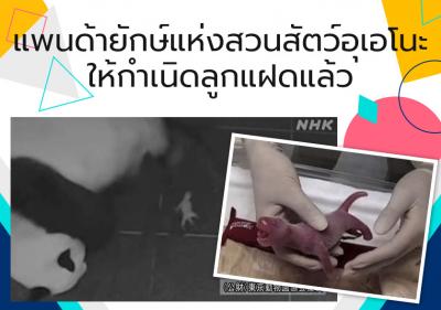 แพนด้ายักษ์แห่งสวนสัตว์อุเอโนะให้กำเนิดลูกแฝดแล้ว