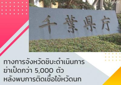 ทางการจังหวัดชิบะดำเนินการฆ่าเป็ดกว่า 5,000 ตัวหลังพบการติดเชื้อไข้หวัดนก