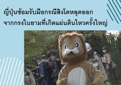 ญี่ปุ่นซ้อมรับมือกรณีสิงโตหลุดออกจากกรงในยามที่เกิดแผ่นดินไหวครั้งใหญ่