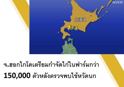 จ.ฮอกไกโดเตรียมกำจัดไก่ในฟาร์มกว่า 150,000 ตัวหลังตรวจพบไข้หวัดนก