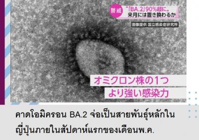 คาดโอมิครอน BA.2 จ่อเป็นสายพันธุ์หลักในญี่ปุ่นภายในสัปดาห์แรกของเดือนพ.ค.