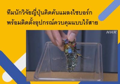 ทีมนักวิจัยญี่ปุ่นคิดค้นแมลงไซบอร์ก พร้อมติดตั้งอุปกรณ์ควบคุมแบบไร้สาย