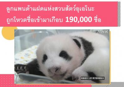 ลูกแพนด้าแฝดแห่งสวนสัตว์อุเอโนะถูกโหวตชื่อเข้ามากว่า 190,000 ชื่อ
