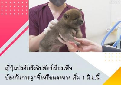 ญี่ปุ่นบังคับฝังชิปสัตว์เลี้ยงเพื่อป้องกันการถูกทิ้งหรือหลงทาง เริ่ม 1 มิ.ย.นี้