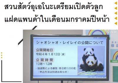 สวนสัตว์อุเอโนะเตรียมเปิดตัวลูกแฝดแพนด้าในเดือนมกราคมปีหน้า