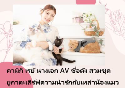 คามิกิ เรย์ นางเอก AV ชื่อดัง สวมชุดยูกาตะเสิร์ฟความน่ารักกับเหล่าน้องแมว