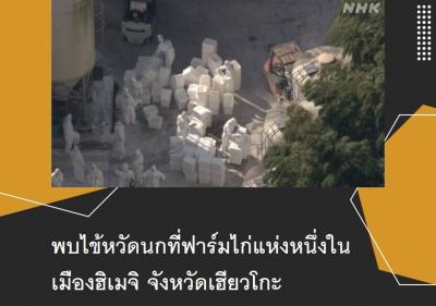 พบไข้หวัดนกที่ฟาร์มไก่แห่งหนึ่งในเมืองฮิเมจิ จังหวัดเฮียวโกะ