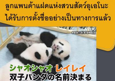 ลูกแพนด้าแฝดแห่งสวนสัตว์อุเอโนะได้รับการตั้งชื่ออย่างเป็นทางการแล้ว