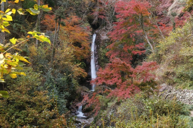 Kegon Falls (華厳ノ滝)