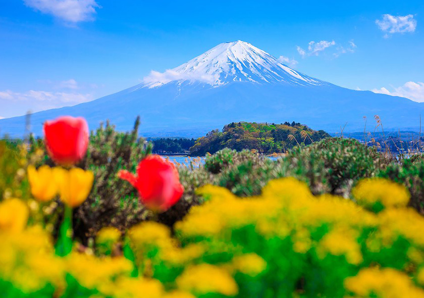 ญี่ปุ่นในเดือนพฤษภาคม