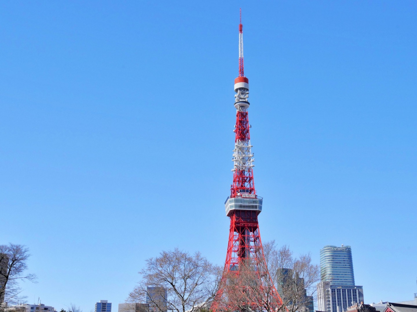 โตเกียวทาวเวอร์ (東京タワー)