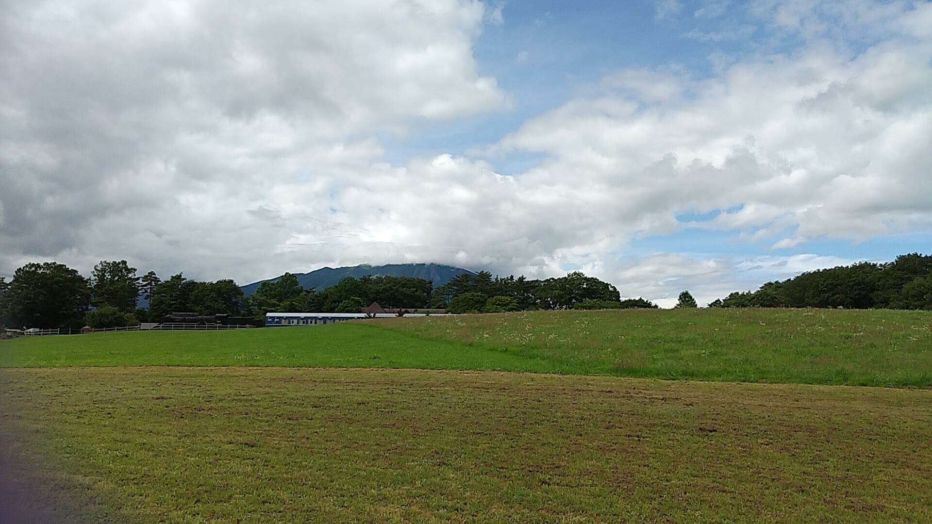 ฟาร์มโคอิวาอิ (小岩井農場)