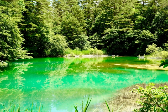 ทะเลสาบโกชิคินุมะ (五色沼)