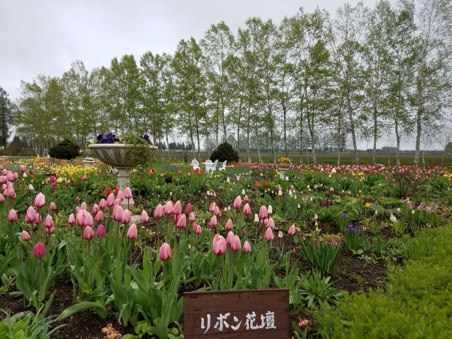 สวนชิจิคุ (紫竹ガーデン)