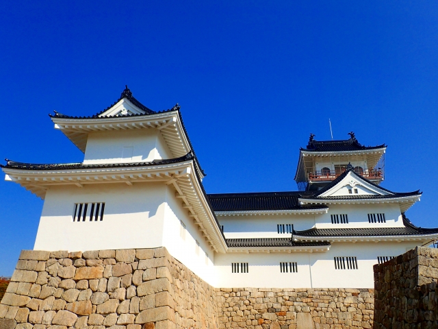 ปราสาทโทยาม่า (富山城)