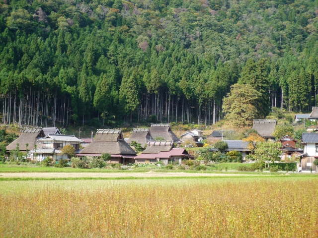 หมู่บ้านคายาบูกิ โนะ ซาโตะ (美山 かやぶきの里・北村)