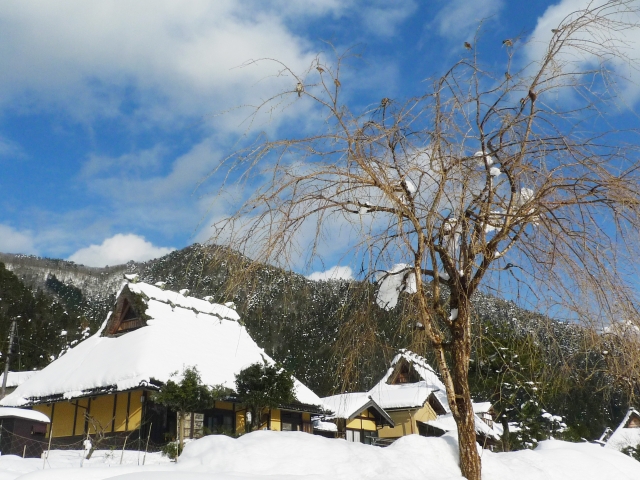หมู่บ้านคายาบูกิ โนะ ซาโตะ (美山 かやぶきの里・北村)