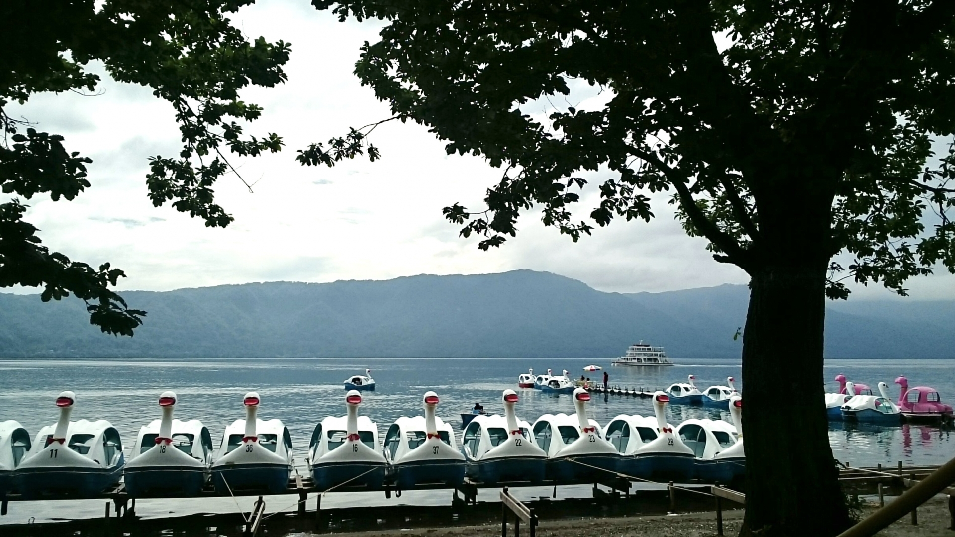 ทะเลสาบโทวาดะ (十和田湖)