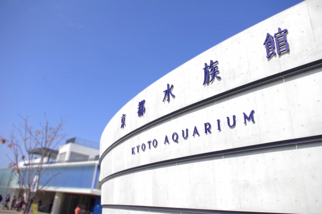 พิพิธภัณฑ์สัตว์น้ำเกียวโต (京都水族館)