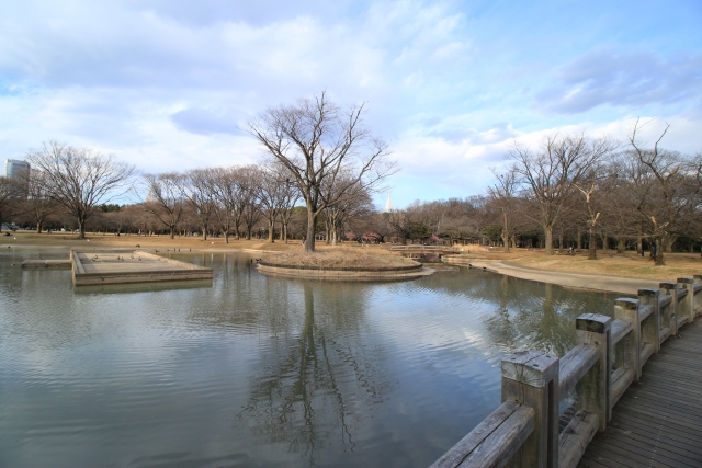 สวนสาธารณะโยโยกิ (代々木公園)