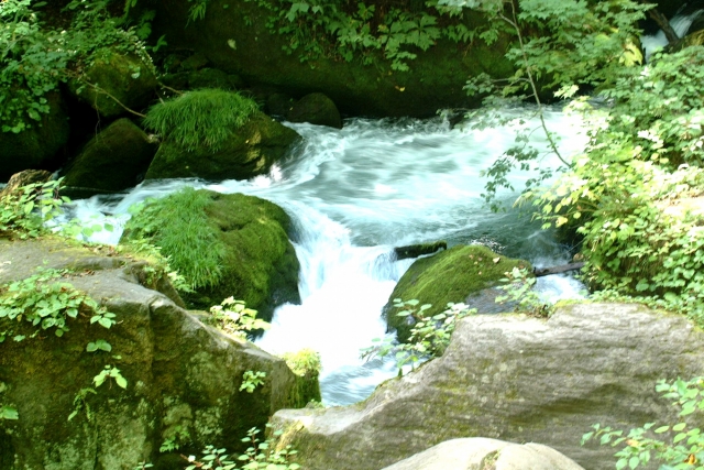 ลำธารโออิราเสะ (奥入瀬渓流)